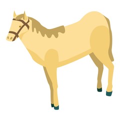 Desert horse icon. Isometric of desert horse vector icon for web design isolated on white background