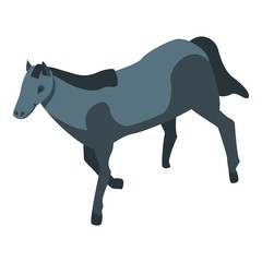 Black small horse icon. Isometric of black small horse vector icon for web design isolated on white background