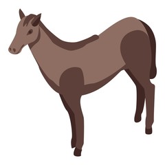 Mammal horse icon. Isometric of mammal horse vector icon for web design isolated on white background