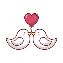 happy valentines day birds couple with heart