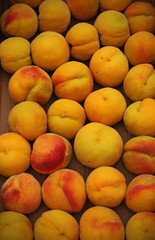Juicy and tasty seasonal peaches