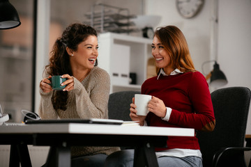 Two women working together.  Beautiful colleagues working on project. 