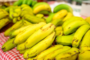 Eco farming in Spain, Canarian bananas growing on La Palma island on local market