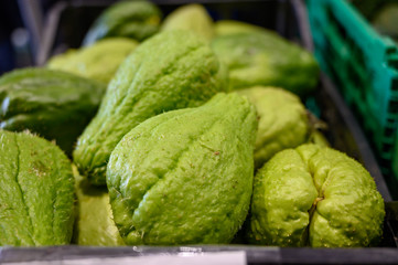 Fototapeta premium Chayota vegetable peer on local market on Tenerife island, Canary islands, Spain