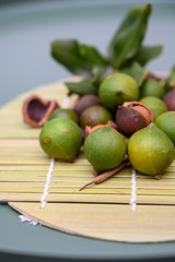 Group of ripe macamadia nuts in green and brown shell and leaves of macadamia tree