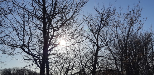 Winter