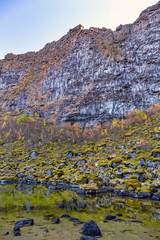 Fototapeta na wymiar Asbyrgi canyon in Jokulsargljufur national park, Iceland