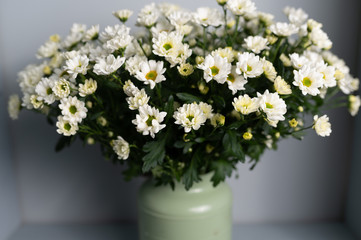beautiful spring bouquet of chrysanthemums. Copy space 