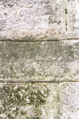 Texture of old concrete with green moss. Space for text. Vertical photo