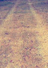 Car tracks on a wilted meadow