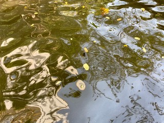 Water surface with ripples and sunlight in Thailand