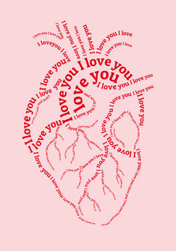 Pink human heart with I love you text, vector