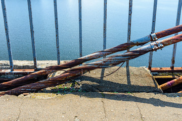 Fototapeta premium Old rusty steel rope of the bridge. Closeup