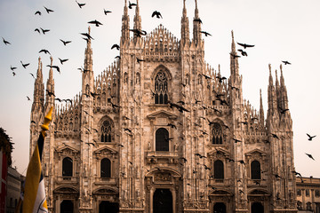 Birds over Milan Cathedral