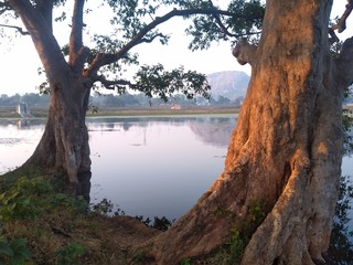 Seen of Tree and River