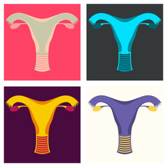 Set of Uterus illustration. Human internal organs. Flat illustration