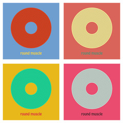 Set of Illustration of Structure Skeletal Muscle Anatomy