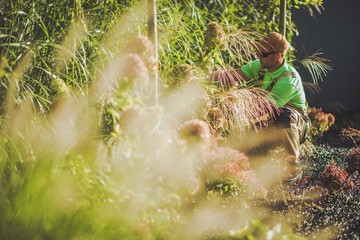 Men Working in a Garden