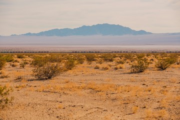 Fototapeta premium Mojave Desert Railroad