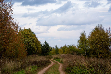 Fototapeta na wymiar Autumn landscape. Russian nature. Dirt road in the field. Trees and bush.