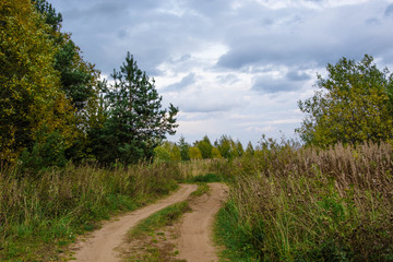 Autumn landscape. Russian nature. Dirt road in the field. Trees and bush.