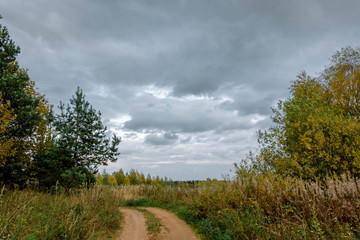 Fototapeta na wymiar Autumn landscape. Russian nature. Dirt road in the field. Trees and bush.