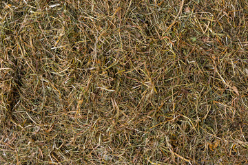 hay texture