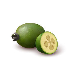 Realistic colored juicy slice of green feijoa. Isolated half of colorful feijoa and whole round fruit on white background.