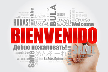 Bienvenido , Welcome in Spanish, word cloud in different languages, conceptual background