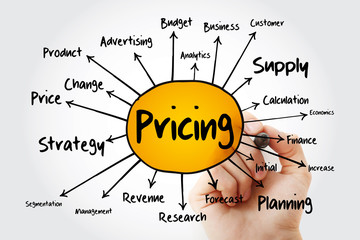 Obraz premium Pricing mind map flowchart with marker, business concept for presentations and reports