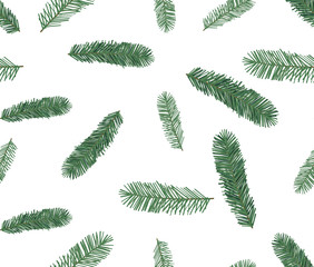 Seamless pattern of spruce, hand drawn botanical print.