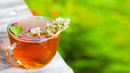 Fresh tasty hot tea with melissa outdoor in summer. Medicine healthy