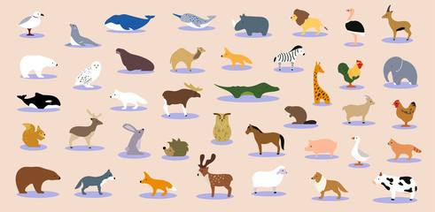 Big collection of wild jungle, savannah and forest animals, birds, marine mammals, fish. Set of cute cartoon isolated characters and icons. Colorful vector illustration in flat style.