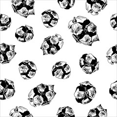 Seamless pattern with hand drawn vector illustration of cypress cones. Design elements Forest Autumn Winter collection