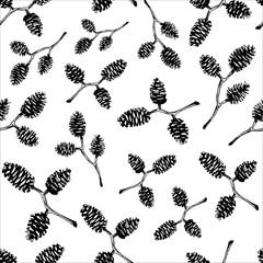 Seamless pattern with hand drawn vector illustration of alder cones. Design elements Forest Autumn, Winter collection
