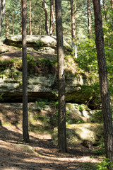 landscape with a large sandstones inside of a forest
