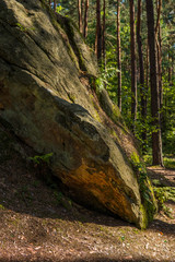 landscape with a large sandstones inside of a forest