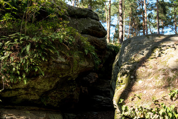 ground path between sandstone rocks