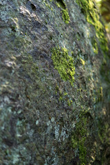 detail of large sandstone rocks