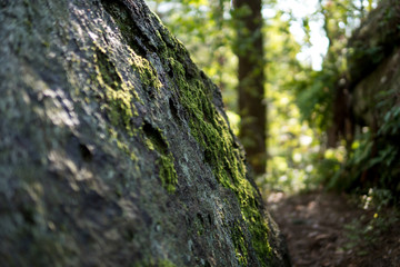 detail of large sandstone rocks