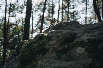 detail of large sandstone rocks
