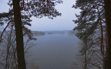 large lake in a pine forest