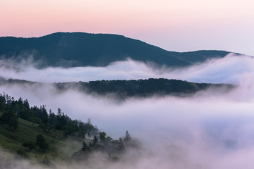 Fototapeta premium 日本・7月の北海道 日勝峠、夜明けの雲海