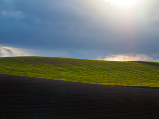 陽の当たる牧草地