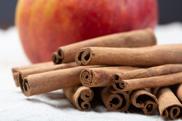 Winter pastry food ingredient, dried aromatic cinnamon sticks and apple on tin plate
