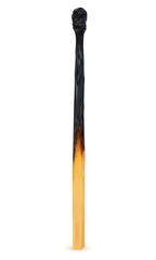 wooden burned and extinct match vector illustration
