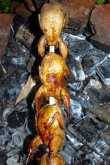 Fototapeta na wymiar quail on the grill on a skewer on charcoals marinated in the fresh air barbecue