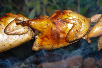 quail on the grill on a skewer on charcoals marinated in the fresh air barbecue