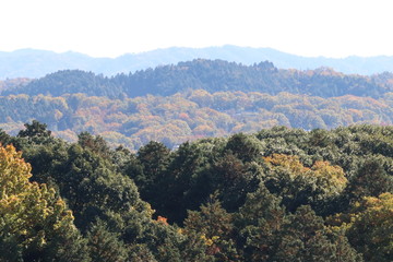 岐阜県　土岐市　街並み