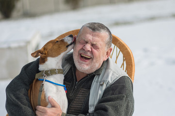Cute basenji dog licks master's ear discharging it's everyday obligations for the  contented leader